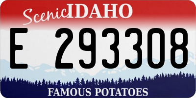 ID license plate E293308