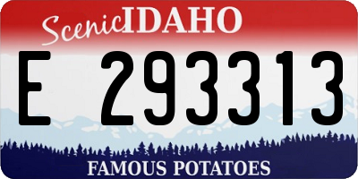 ID license plate E293313