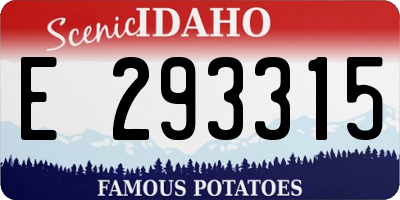 ID license plate E293315