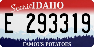 ID license plate E293319