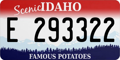 ID license plate E293322