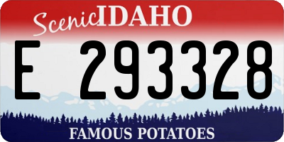 ID license plate E293328