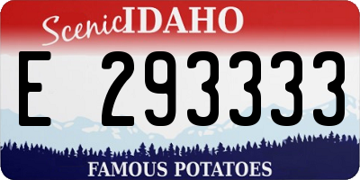 ID license plate E293333