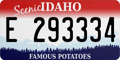 ID license plate E293334