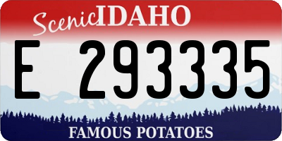ID license plate E293335