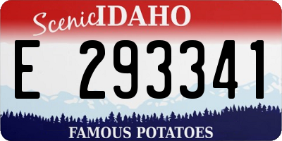 ID license plate E293341