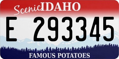 ID license plate E293345