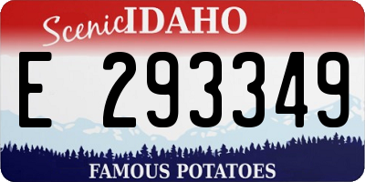 ID license plate E293349