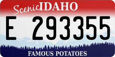 ID license plate E293355