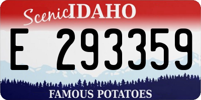 ID license plate E293359