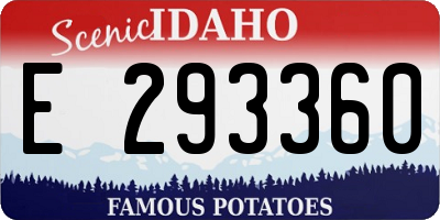 ID license plate E293360