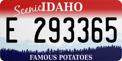 ID license plate E293365