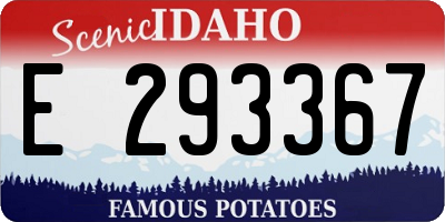 ID license plate E293367
