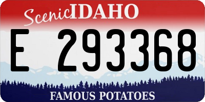 ID license plate E293368