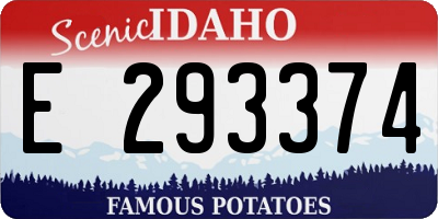ID license plate E293374