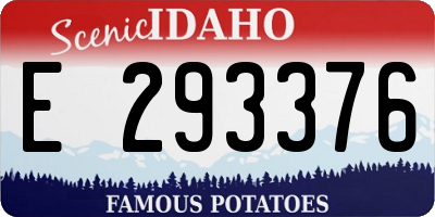 ID license plate E293376
