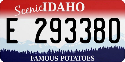 ID license plate E293380