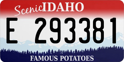 ID license plate E293381
