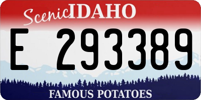 ID license plate E293389
