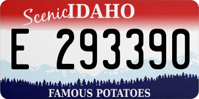 ID license plate E293390