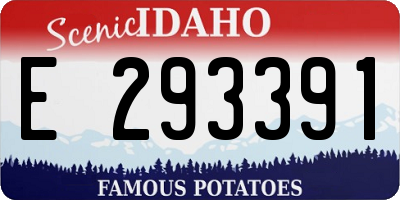 ID license plate E293391