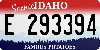 ID license plate E293394
