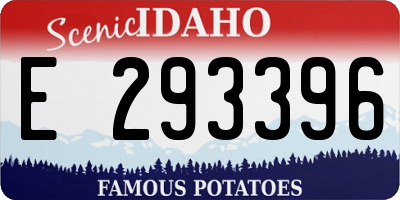 ID license plate E293396