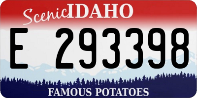 ID license plate E293398