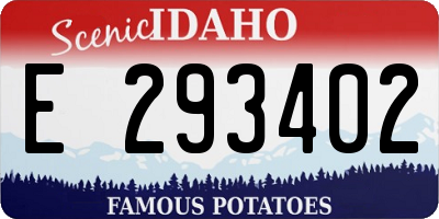 ID license plate E293402