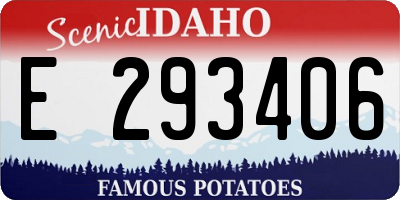 ID license plate E293406