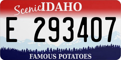ID license plate E293407