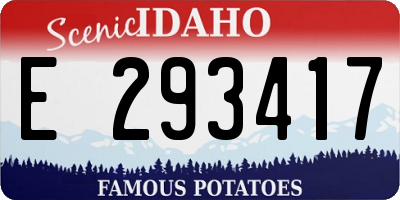 ID license plate E293417
