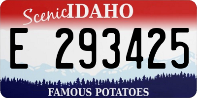 ID license plate E293425