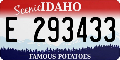 ID license plate E293433