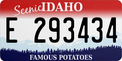 ID license plate E293434