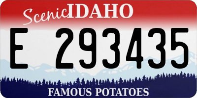 ID license plate E293435