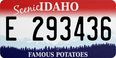 ID license plate E293436