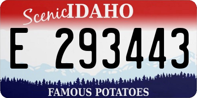 ID license plate E293443