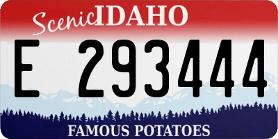 ID license plate E293444