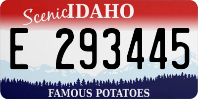 ID license plate E293445