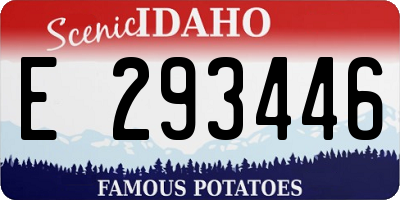 ID license plate E293446