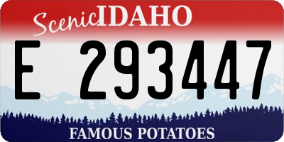 ID license plate E293447