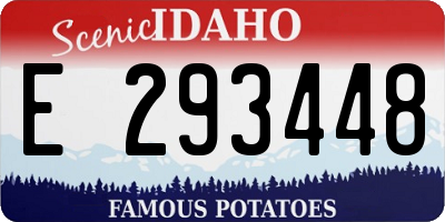 ID license plate E293448