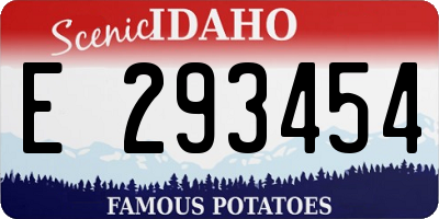 ID license plate E293454
