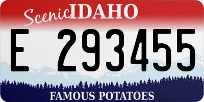 ID license plate E293455