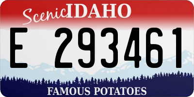 ID license plate E293461