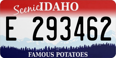 ID license plate E293462