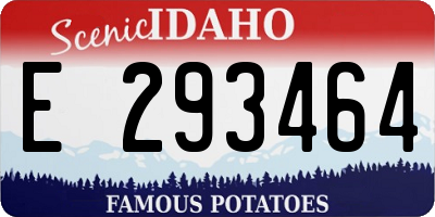 ID license plate E293464