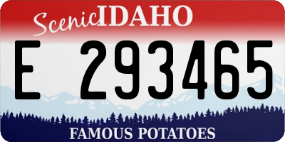 ID license plate E293465