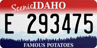 ID license plate E293475